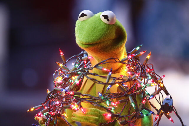 File:Ep10-kermit2.jpg