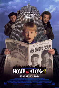 HomeAlone2 Poster