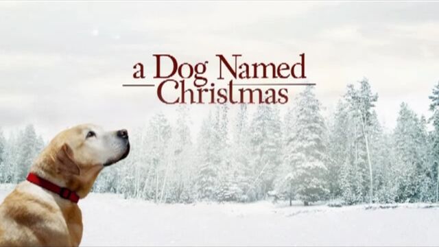 File:A Dog Named Christmas.jpg