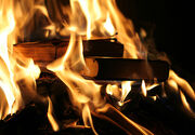 Book burning