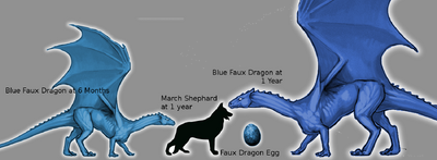 Scale-Blue-Faux-01