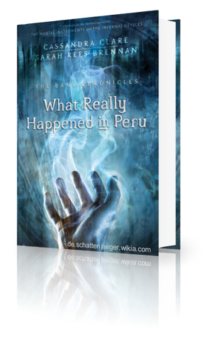Datei:WhatReallyHappendinPeru cover-de.png