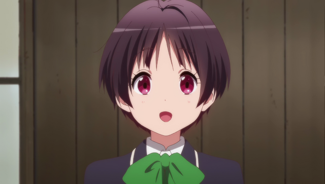 File:Vlcsnap-2017-03-05-15h27m23s161.png