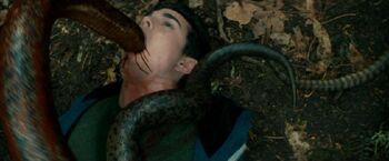 Maxminghella-horns