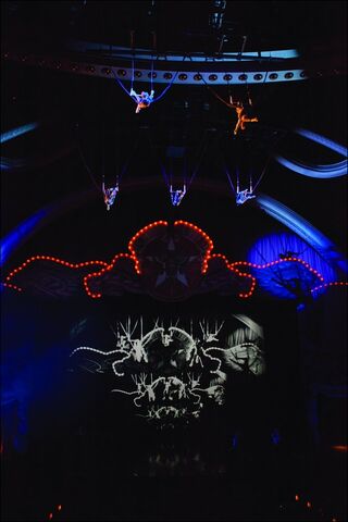 Archivo:Bungee-IRIS.jpg