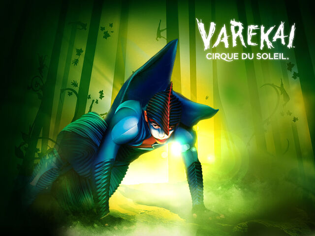 Archivo:Varekai1.jpg