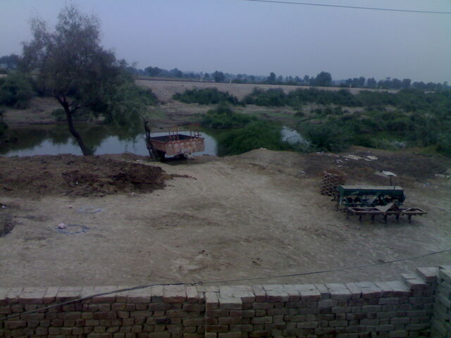 File:10112011074.jpg