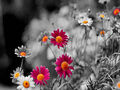 Thumbnail for version as of 08:01, February 2, 2012
