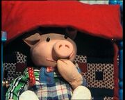Huxley Pig