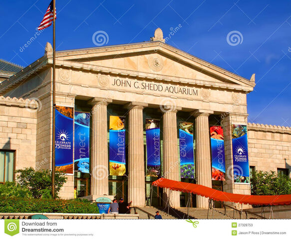 Archivo:Acuario-chicago-illinois-de-shedd-27328753.jpg