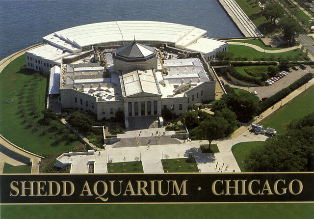 Archivo:Shedd-aquarium.jpg