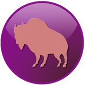 LSSiouxIcon