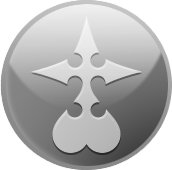 OrganizationXIII