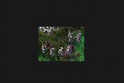 Tmp 2694-Screenshot 2015-05-14-11-03-50 kindlephoto-4243751886212957