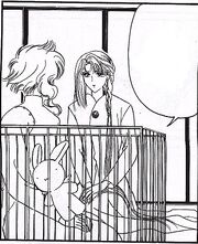 Monsieur Lapinou cage