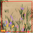 Cat herb 1