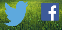 SocialMediaRasen