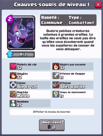 Fichier:Chauve souris.jpg