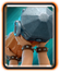BattleRamCard