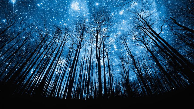 File:Wallpaper.jpg