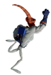 EWJ Shoryuken