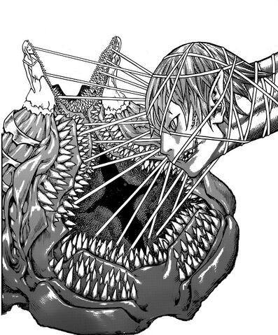 File:Iron Maiden awakened.jpg