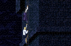 Ladder