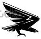 Black Hawk
