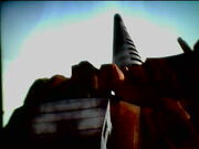 Cwa pics! 002