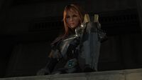 Night's armor