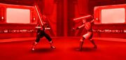 Aarok vs. Zaal (hallucination)
