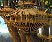 Endor house