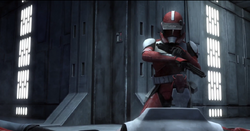 Fox sees the bodies of clones