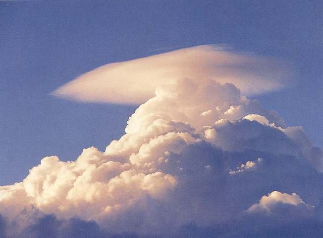 File:Calvus and Pileus.png