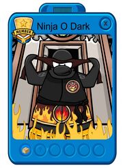 Ninja-o-dark
