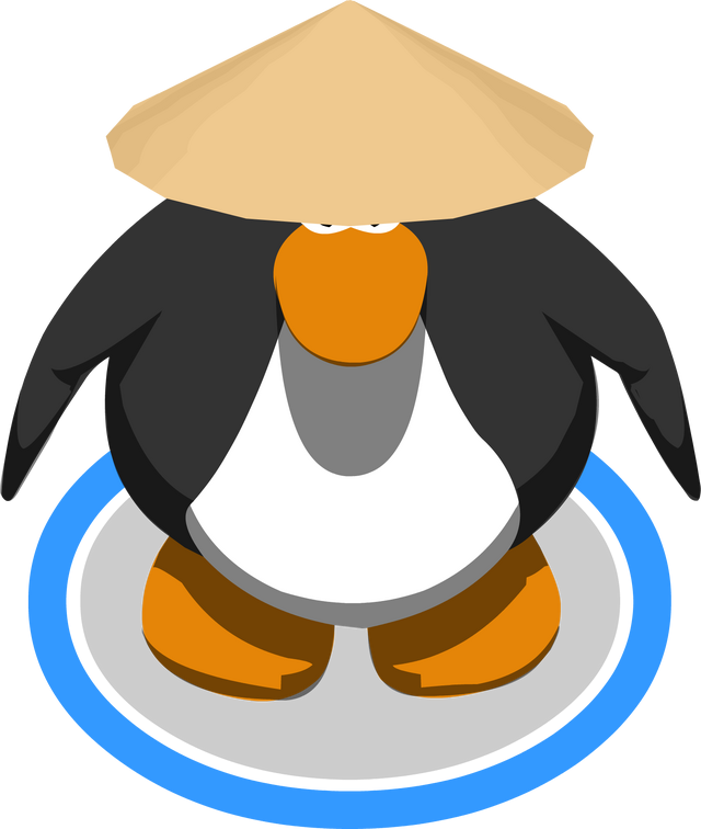 File:Sensei's Hat.png