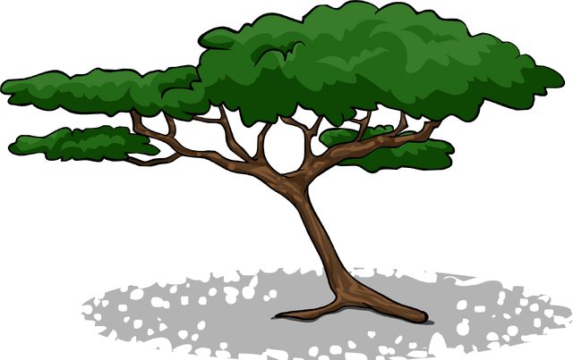 File:AcaciaTree2.PNG.png