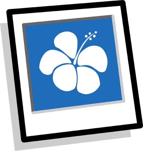 File:Blue Hawaiian Background Inventory.png