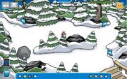Floresta.jpg