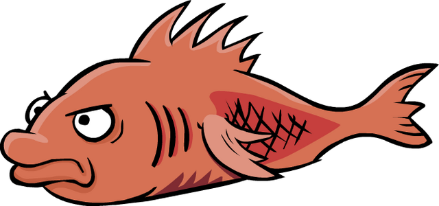 File:Mullet2.png