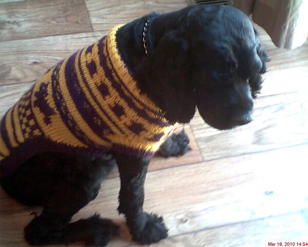 File:FUNKY SWEATER.jpg