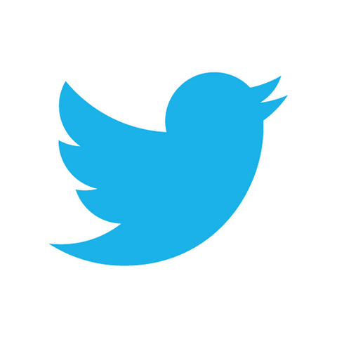 File:Twitter-big.png