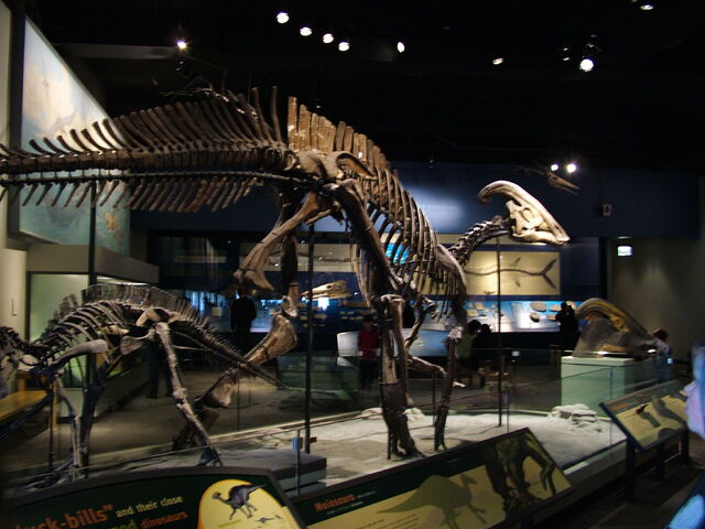 File:DSCF1741.jpg