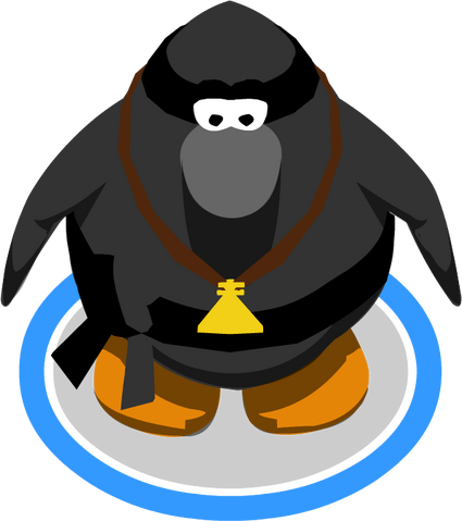 File:NinjaWithAmuletInGame.png