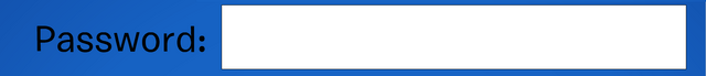 File:CP Password.png
