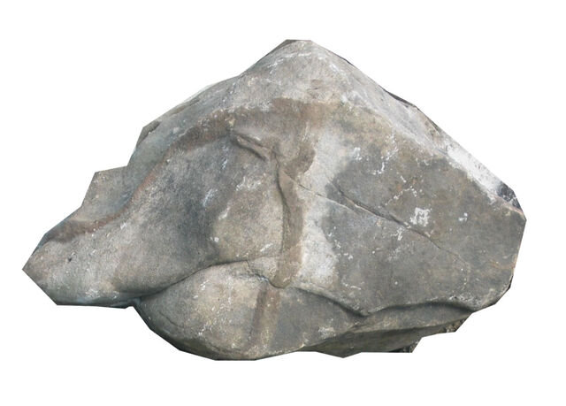 File:Pet Rock.jpg