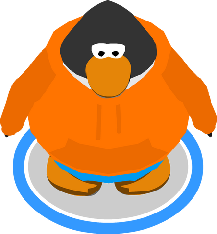 File:OnTheBrightSideHoodieIG.png