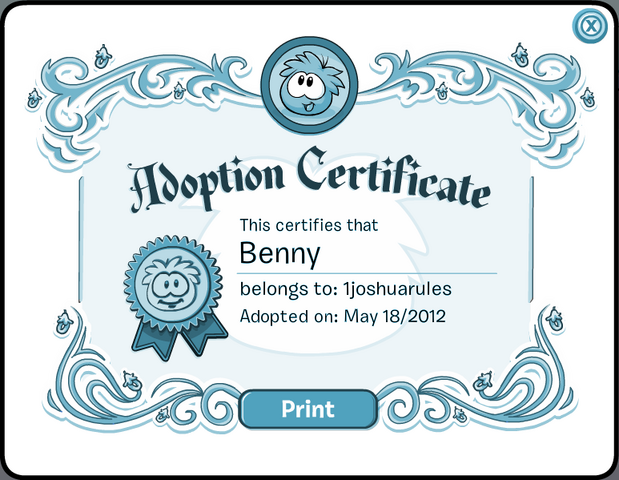 File:BennyCertificate.png