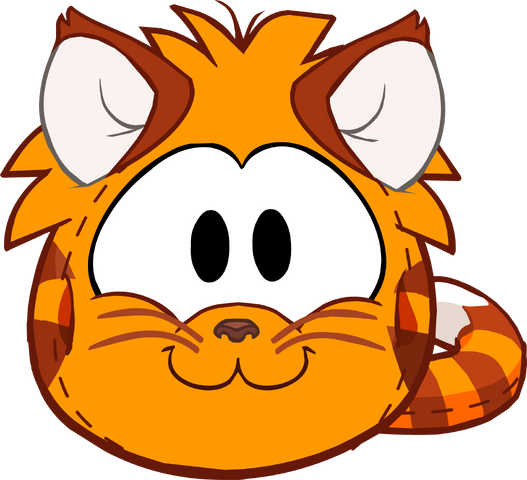 File:Orange Tabby.png