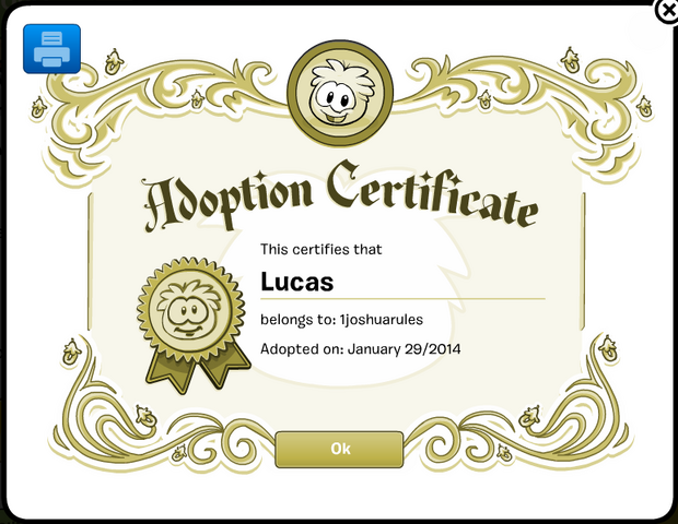 File:1joshuarulesAdoptingYellowPuffleLucasAdoptionCertificate.png